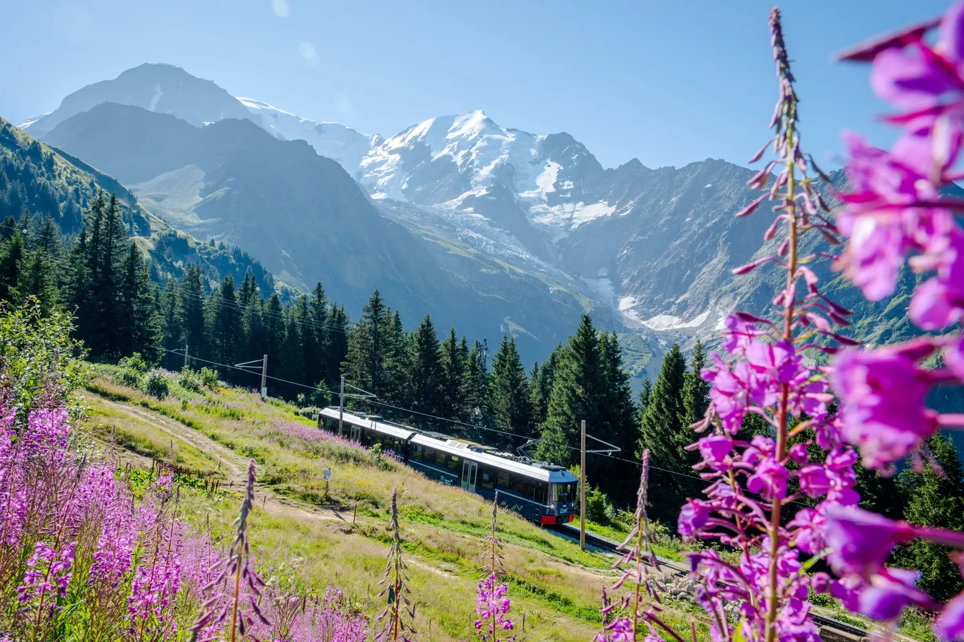 Le Tramway du Mont-Blanc en été, traversant les alpages fleuris face aux glaciers du Massif du Mont-Blanc.